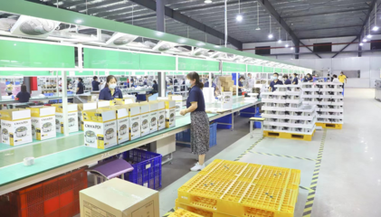 盐城滨海 在产业攀高的赛道上奋力奔跑的家用电器产业